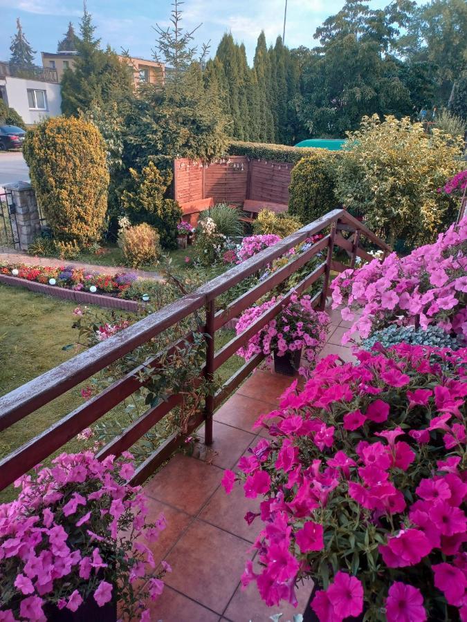Loft Zulawy, Apartament Na Wylacznosc Nowy Dwór Gdański Exterior foto
